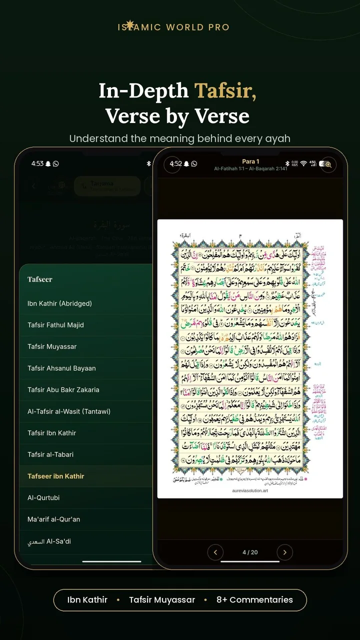 App screen — tafsir